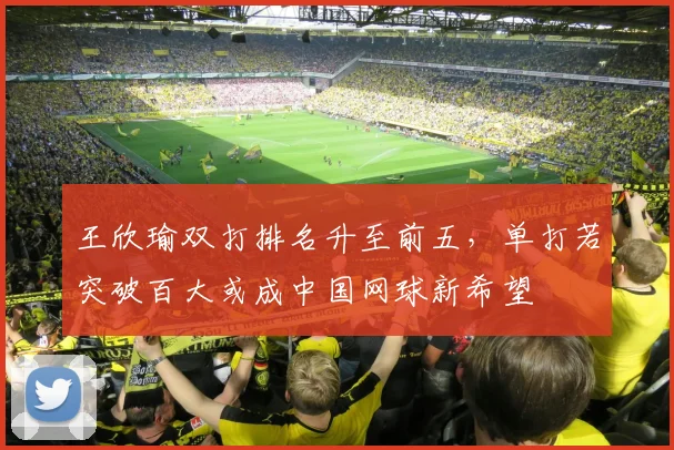 王欣瑜双打排名升至前五,单打若突破百大或成中国网球新希望